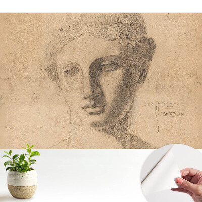 Grafică clasică a feței feminine