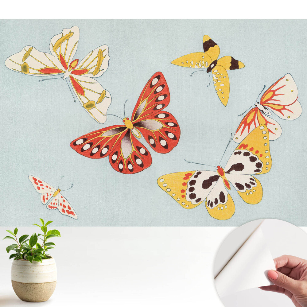 Fluturi colorați pe un fundal deschis