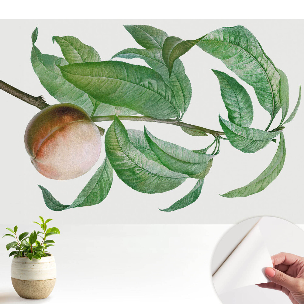 Piersici și frunze într-un stil clasic