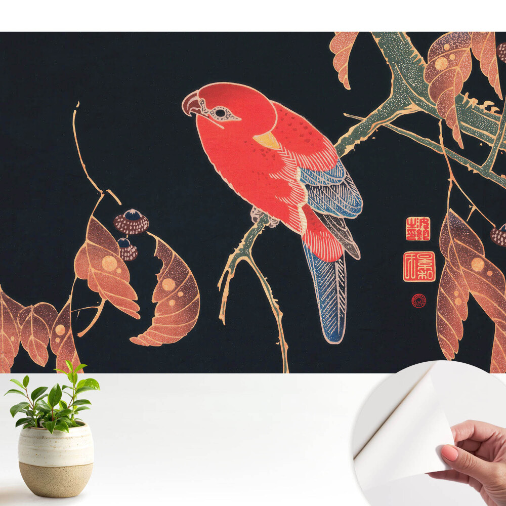 Armonia exotică a naturii