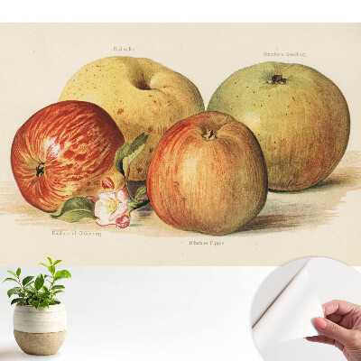 Patru mere în stil clasic cu motiv floare de măr