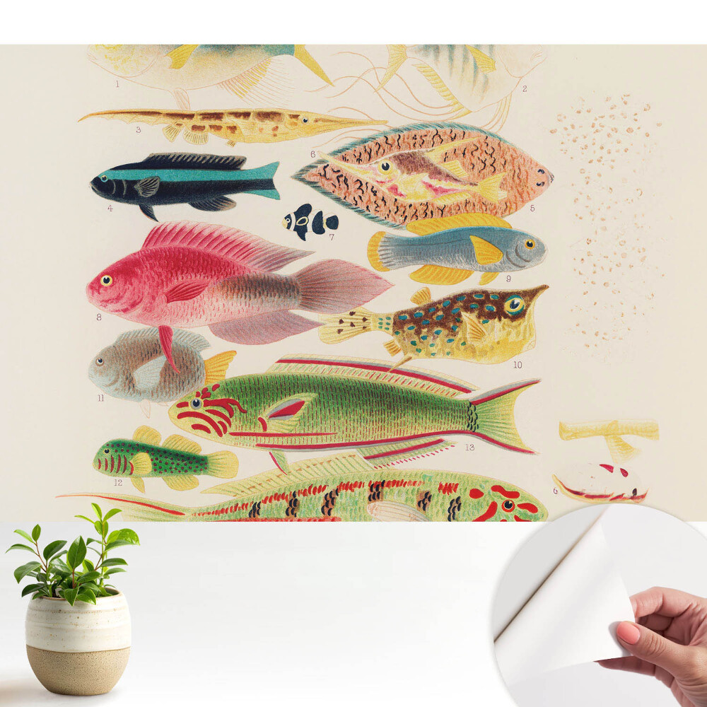 O varietate de pești într-un stil clasic