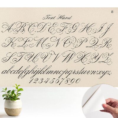 Alfabet caligrafic cu înflorituri elaborate