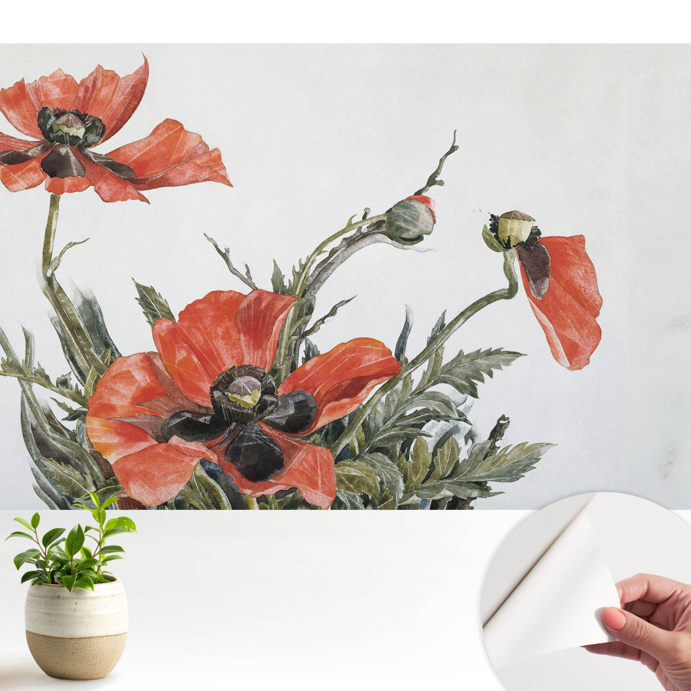 Maci delicați pe un fundal deschis