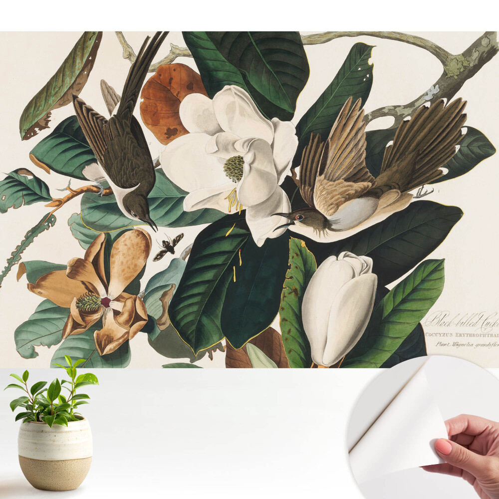 Magnolii și păsări în armonie clasică