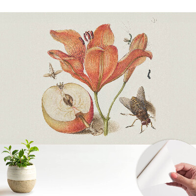 Flori, insecte și fructe — armonia naturii