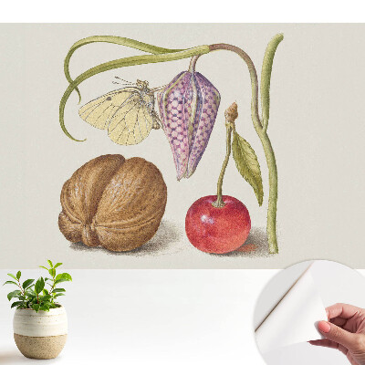 Fluture pe frunză de floare și fructe