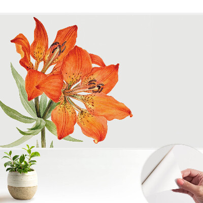 Crin portocaliu, subtil clasic