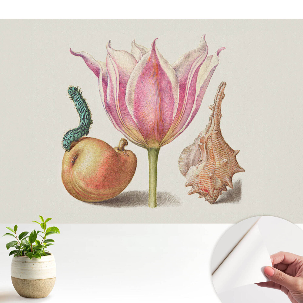 Armonie de coajă de omidă de flori.