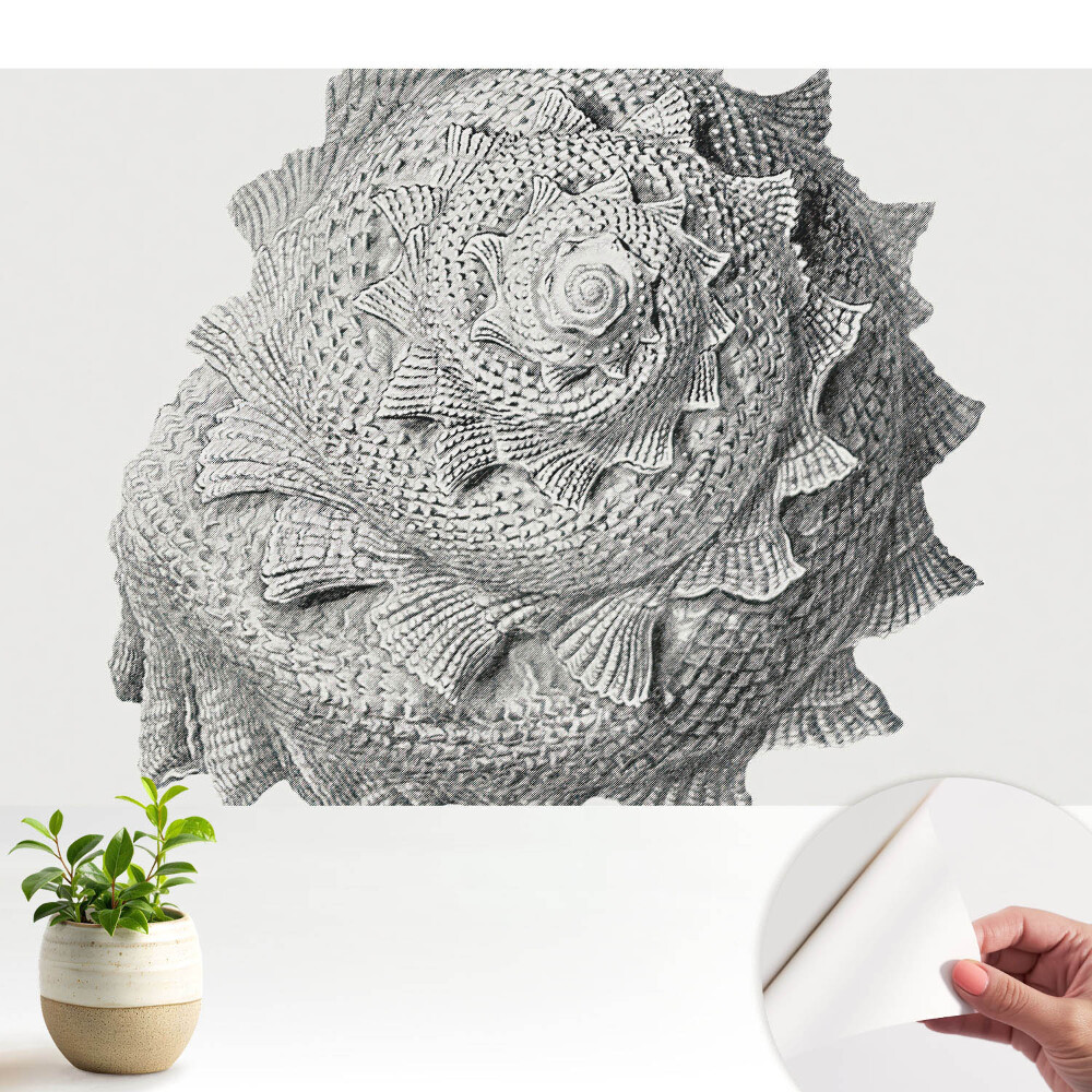 Armonie vizuală în formă de coajă spirală