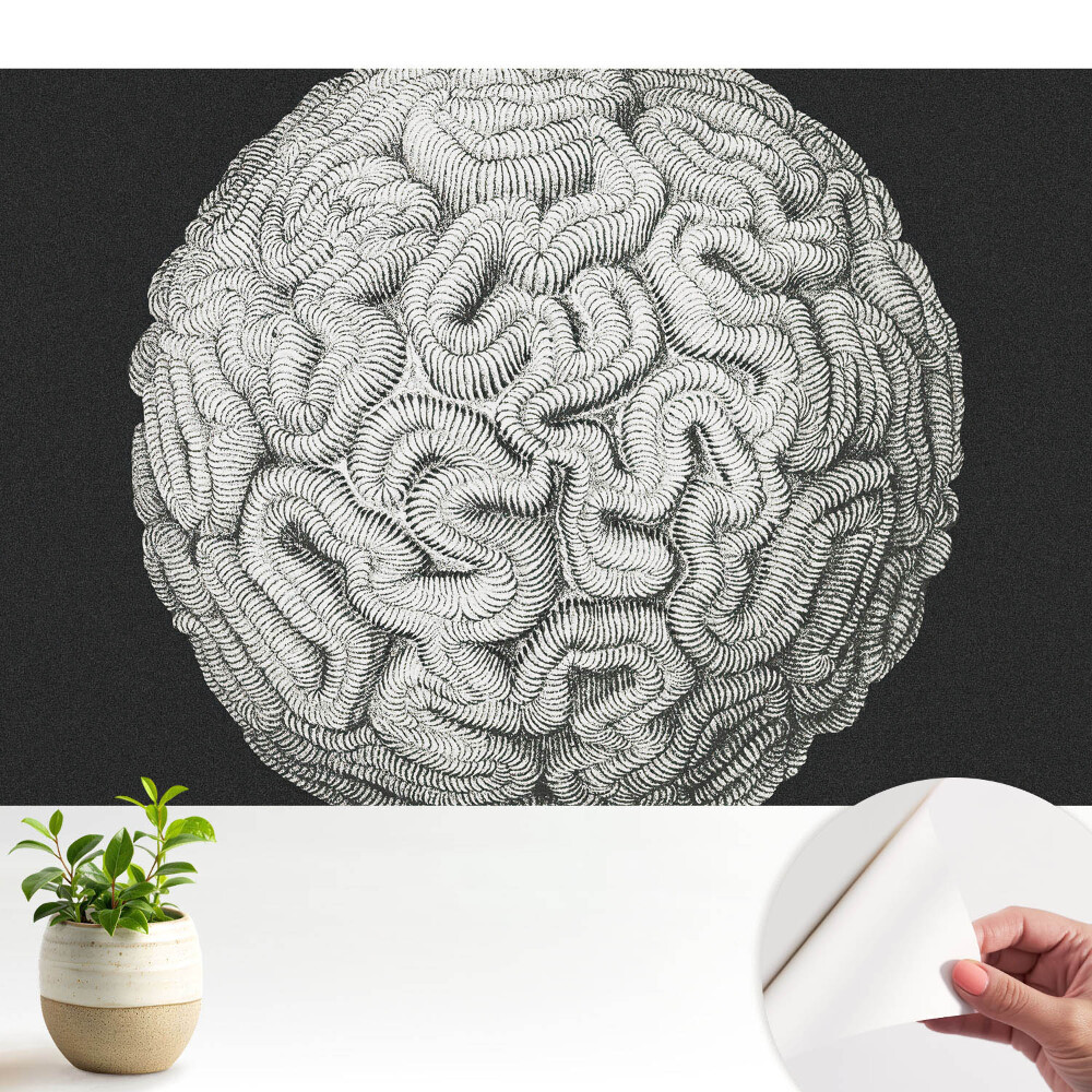 Structură armonioasă sferică monocromatică