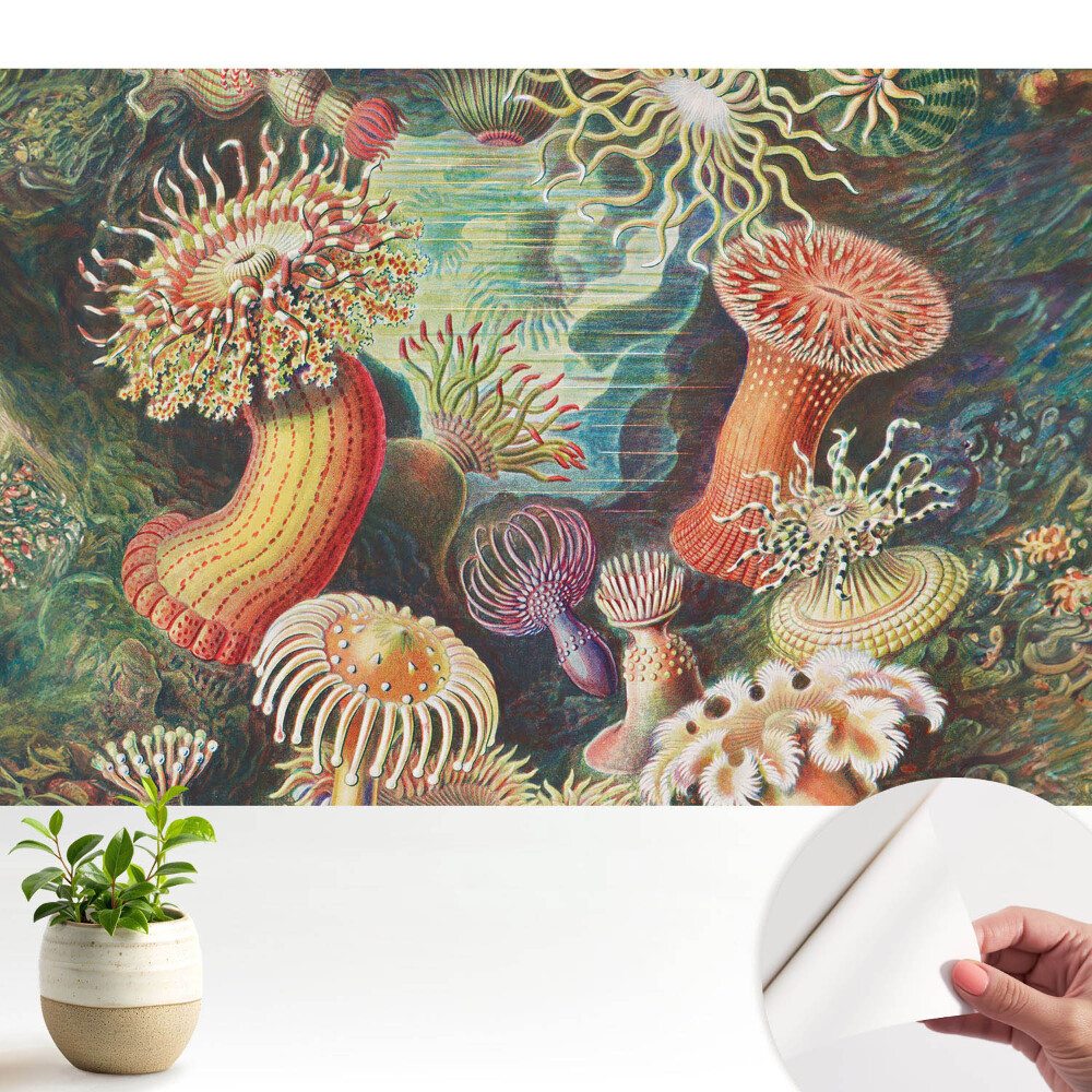 Forme subacvatice și culori strălucitoare