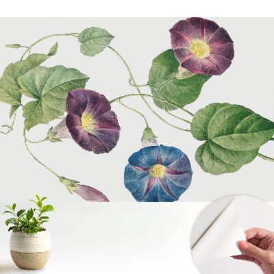 Motive botanice florale delicate