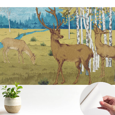 Cerb în pădurea de mesteacăn