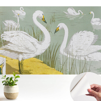 Lebede pe lac Eleganță romantică