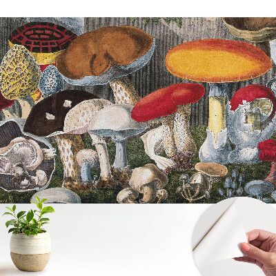 Varietate de ciuperci în stil botanic