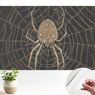 Păianjen într-o pânză simetrică, design clasic