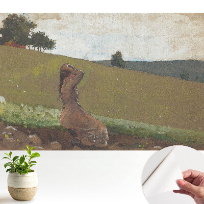 Femeie idilică pe deal