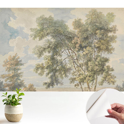 Un peisaj liniștitor de copaci și cer