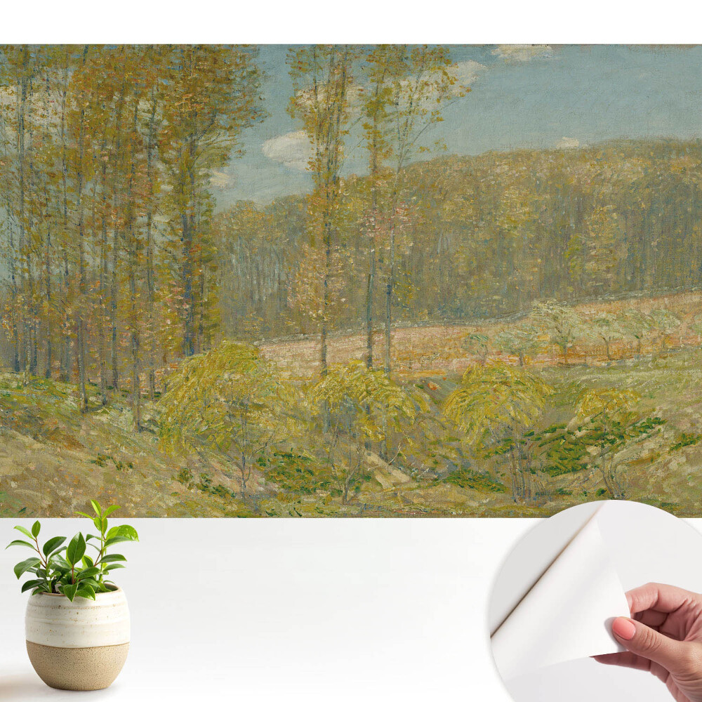 Peisaj natural într-un stil armonios