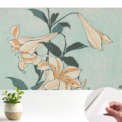 Subtilitatea clasică a naturii