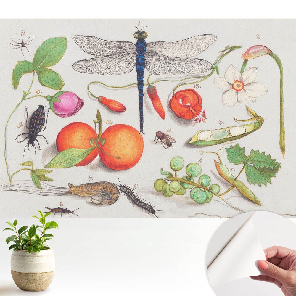 Colaj botanic cu insecte