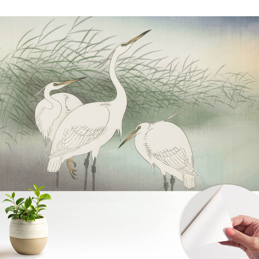 Păsări delicate printre iarbă