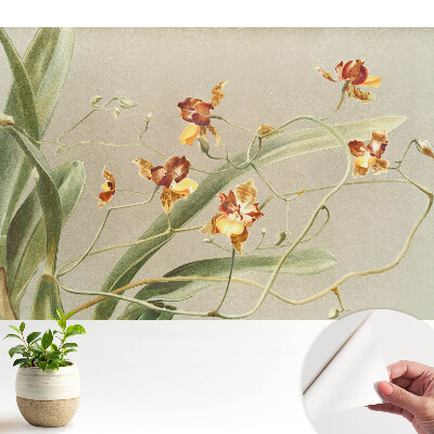 Orhidee frumoase pe fundal gri