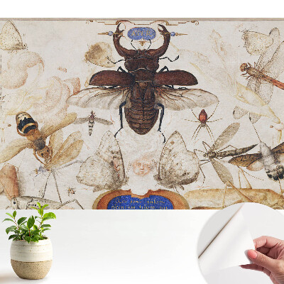 Insecte, fluturi și păianjen într-un design clasic simetric