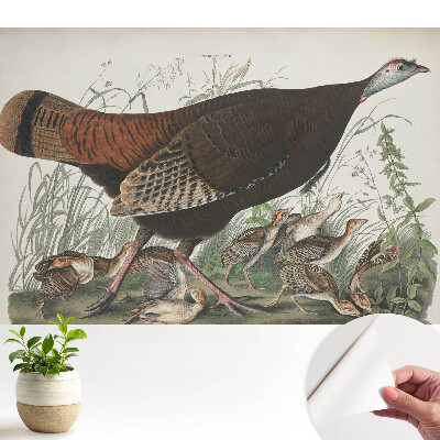 Ilustrație naturală de curcan sălbatic