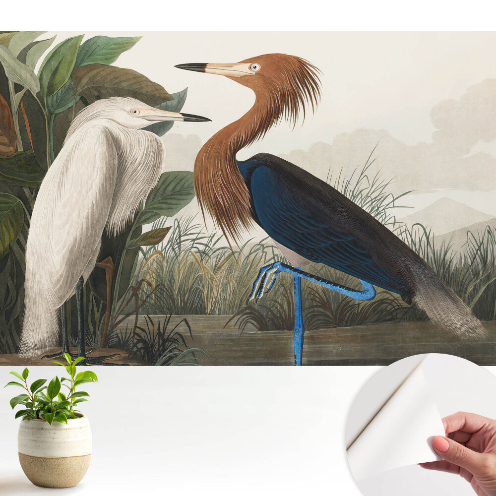 Păsări elegante în vegetație