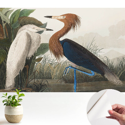 Păsări elegante în vegetație