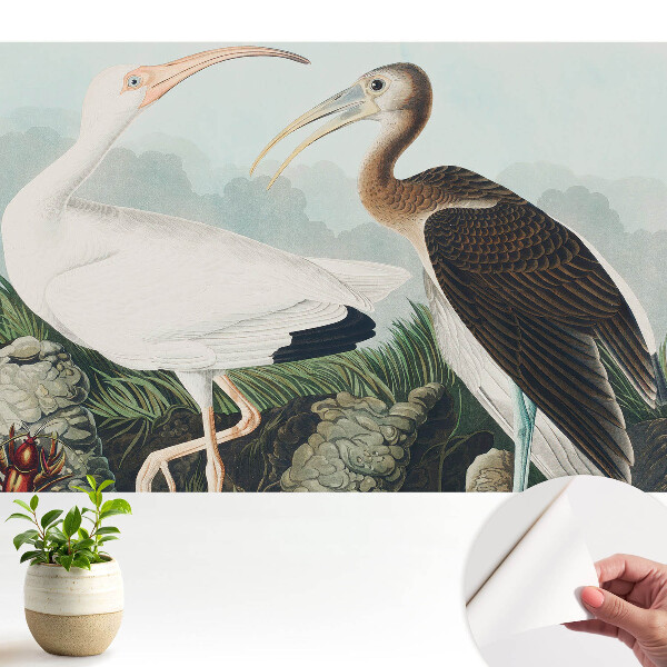 Două păsări în mediul lor natural