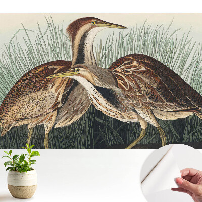 Păsări în iarbă Realism clasic Simetrie