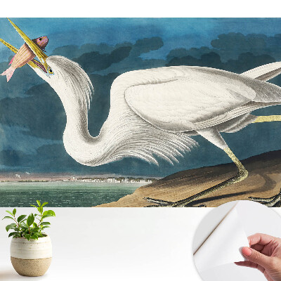 Eleganța păsărilor și natura