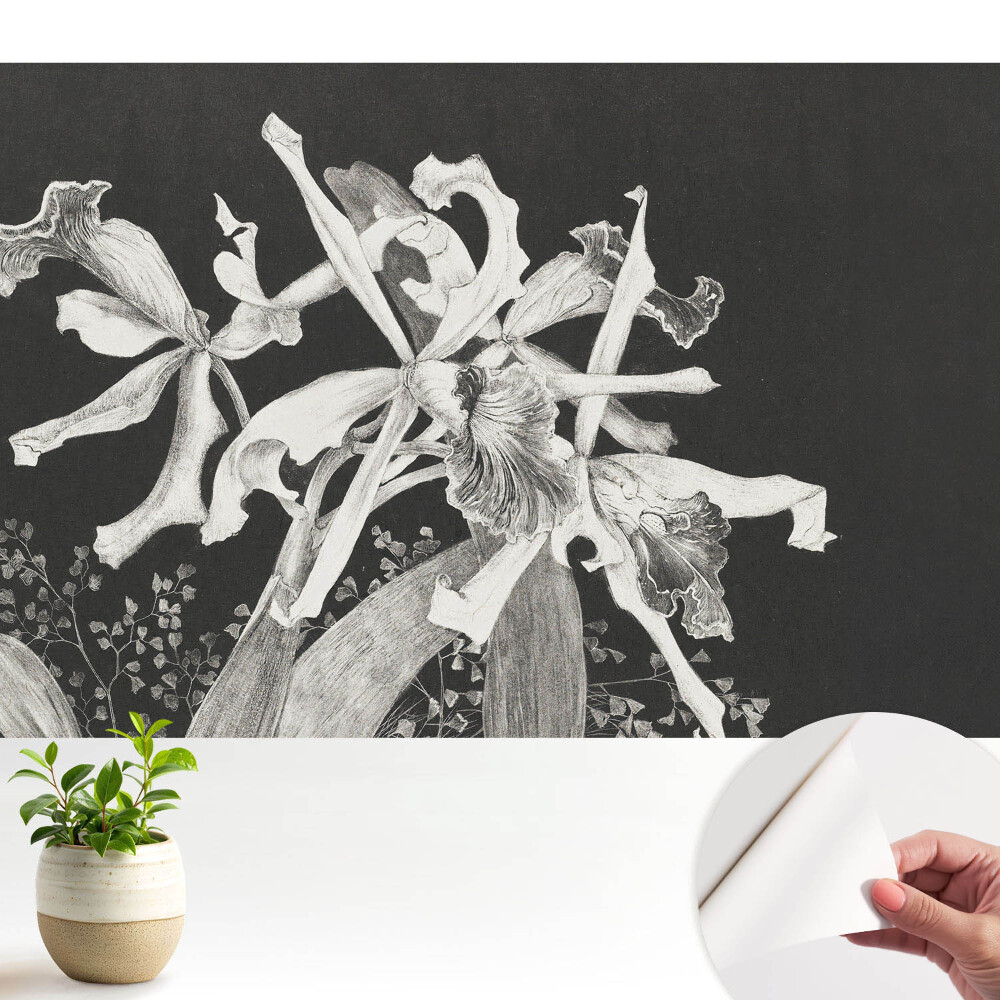 Flori elegante pe un fundal întunecat