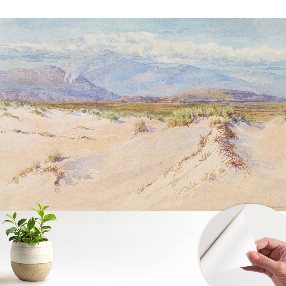 Peisaj deșertic cu munți îndepărtați