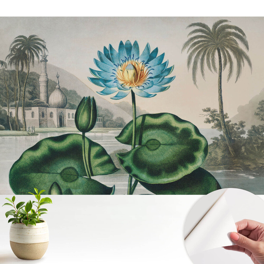 Un crin exotic într-un cadru tropical