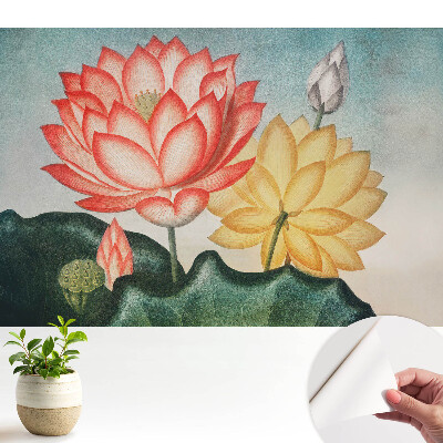 Flori de lotus într-un stil romantic