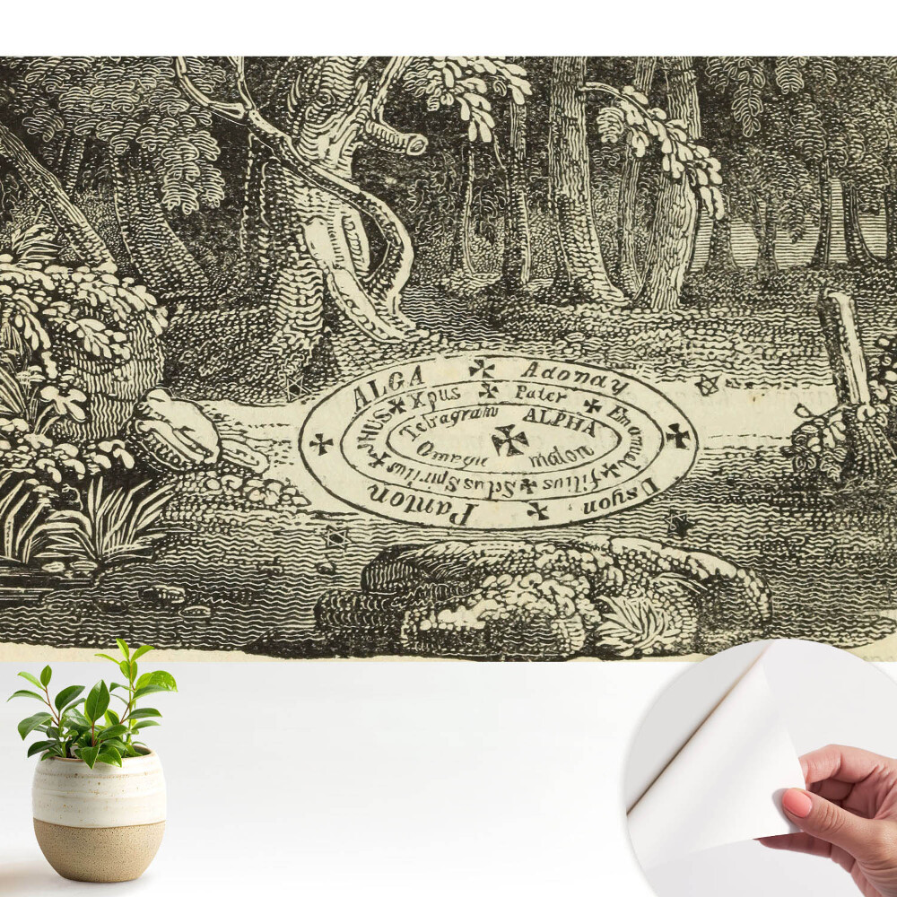 Ilustrație clasică a pădurii mistice