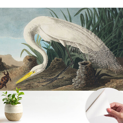 Un stârc în iarbă