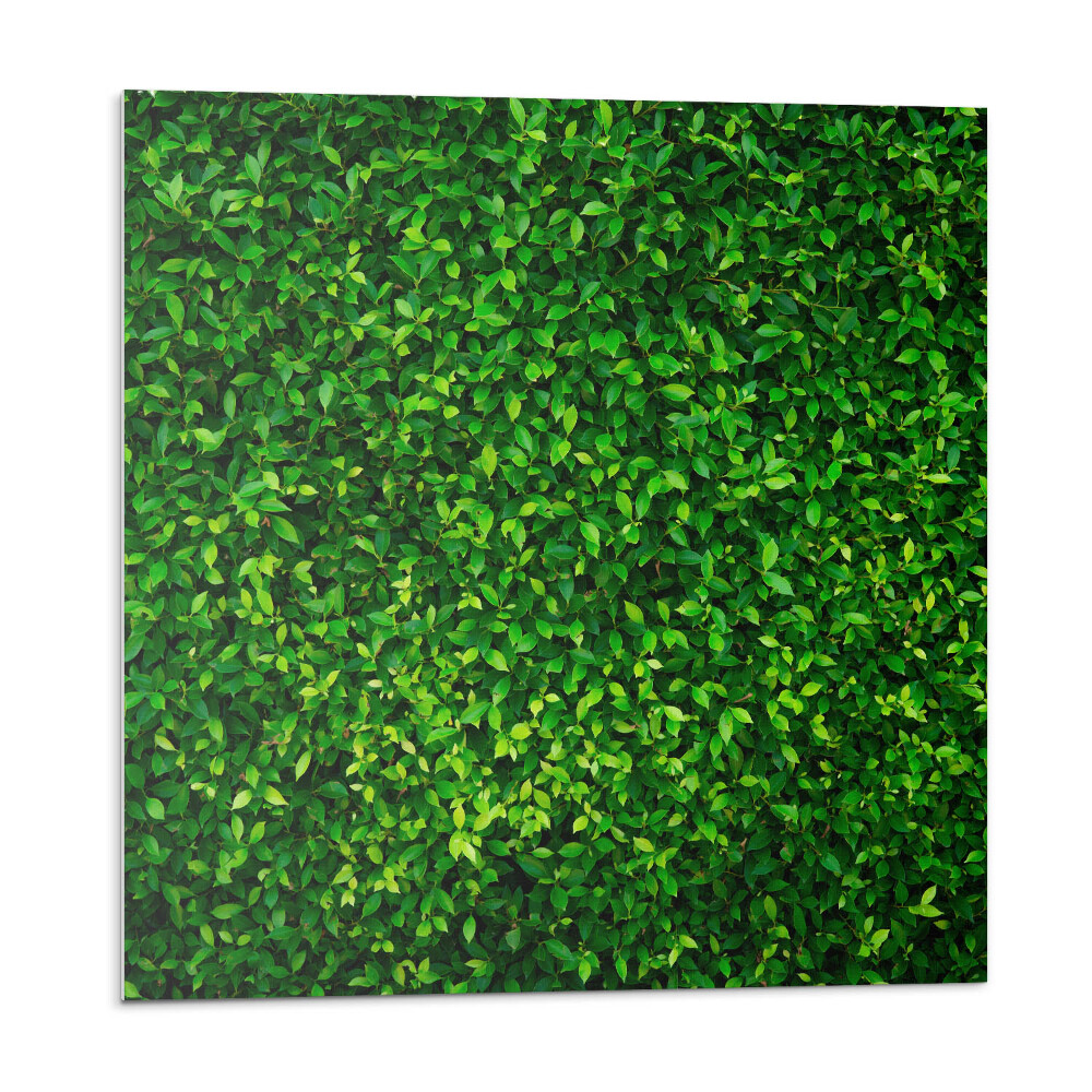 Panouri de vinil PVC Un zid dens de frunze
