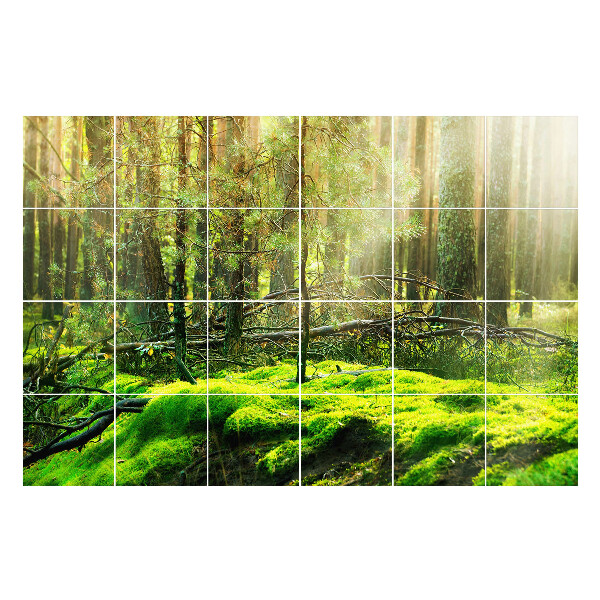 Autocolante pentru gresie Pădure verde cu mușchi