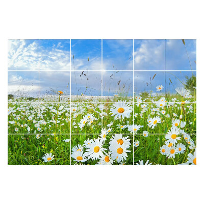 Autocolante pentru gresie Peisaj de luncă florală