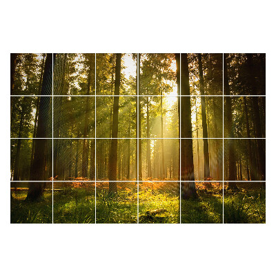 Autocolante gresie Raze de soare în pădure