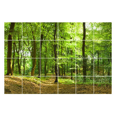 Autocolante gresie Pădure verde cu o alee
