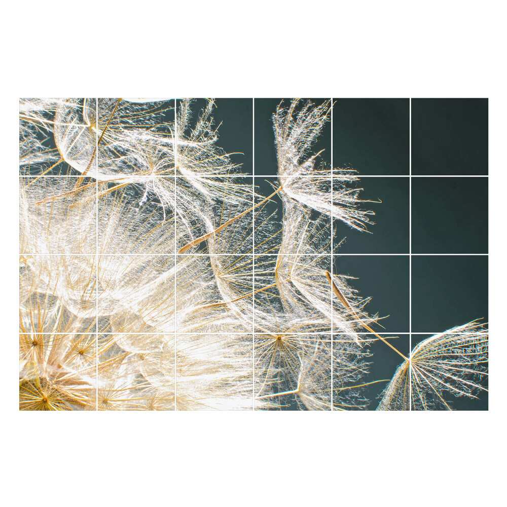 Autocolante pentru gresie Seminte delicate de papadie