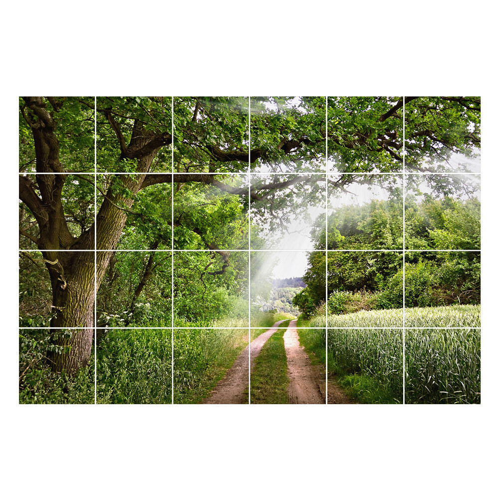 Autocolante gresie Poteca verde în pădure