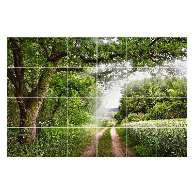 Autocolante gresie Poteca verde în pădure