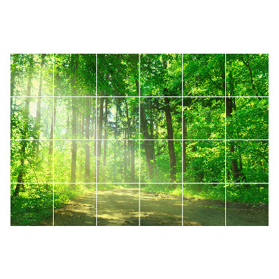 Autocolante pentru gresie Poteca în raze